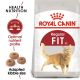 Royal Canin FHN FIT32 Maintenance Diets 4kg