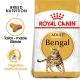 Royal Canin FBN BENGAL 400G