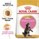 Royal Canin FBN Mainecoon Kitten 4kg