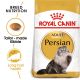 Royal Canin FBN Persian 400g